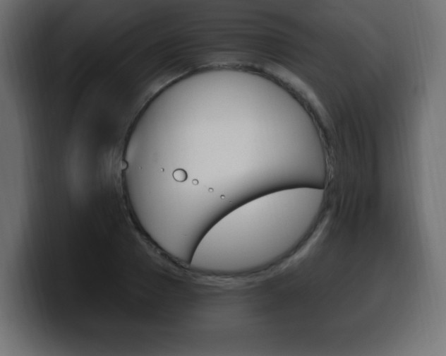 X0000100390937200806060830