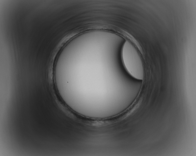 X0000100390938200806060830