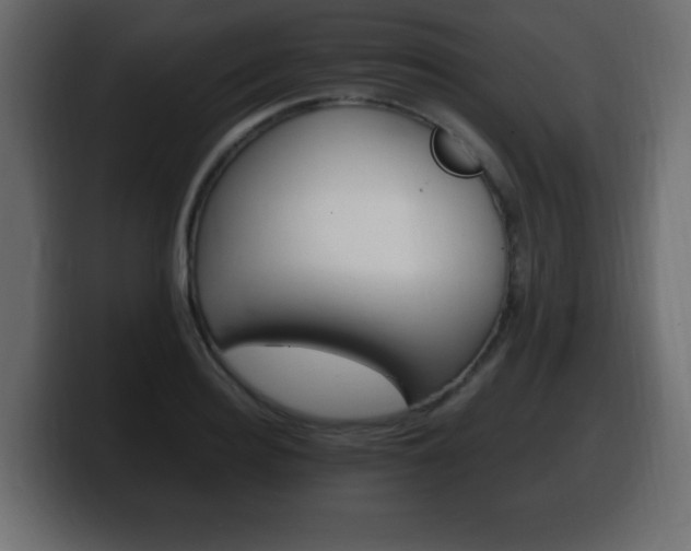 X0000100390940200806060830