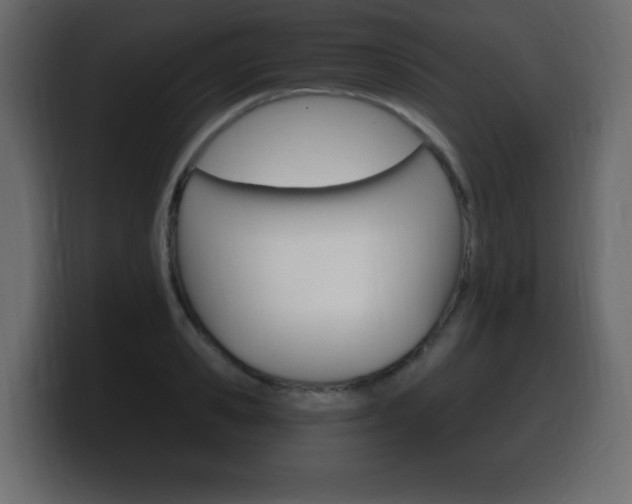 X0000100390941200806060831