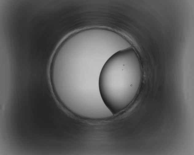 X0000100390942200806060831