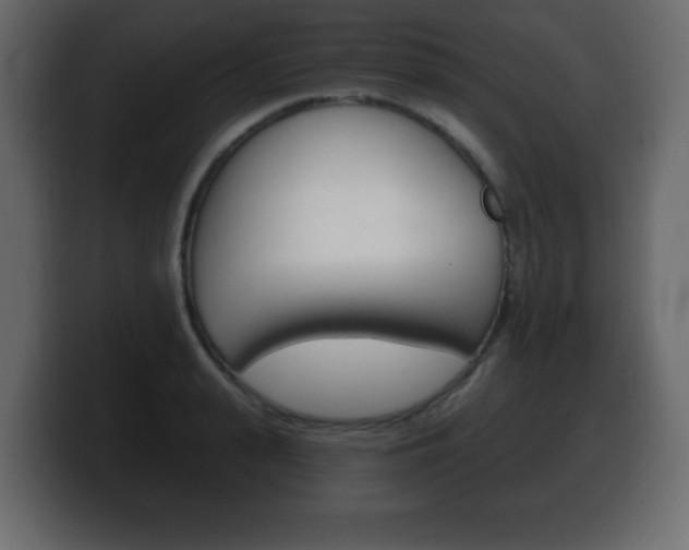 X0000100390943200806060831