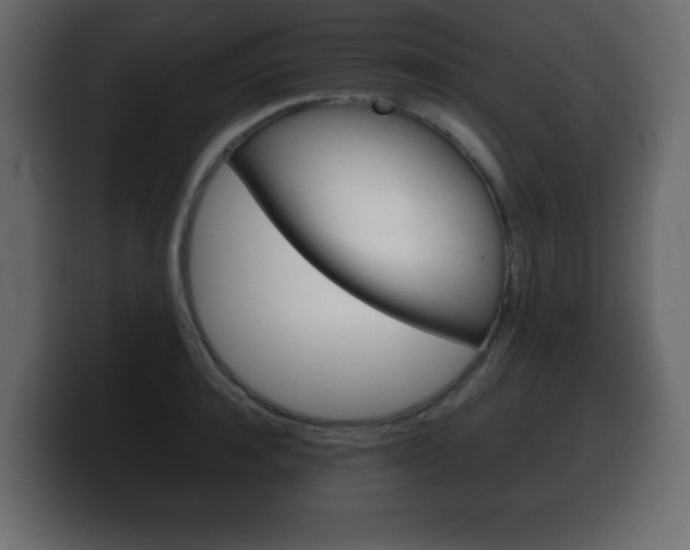 X0000100390944200806060831