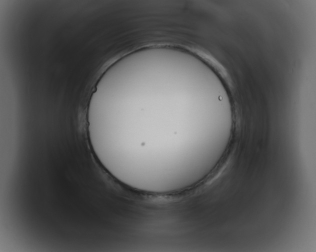X0000100390945200806060831