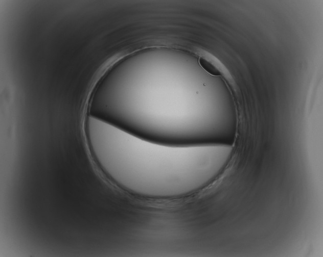 X0000100390946200806060831