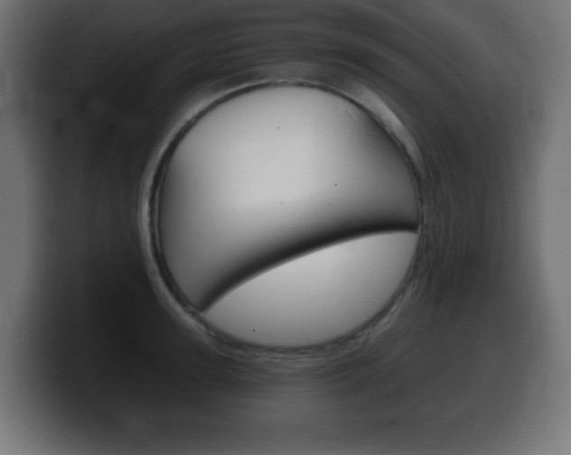 X0000100390947200806060831