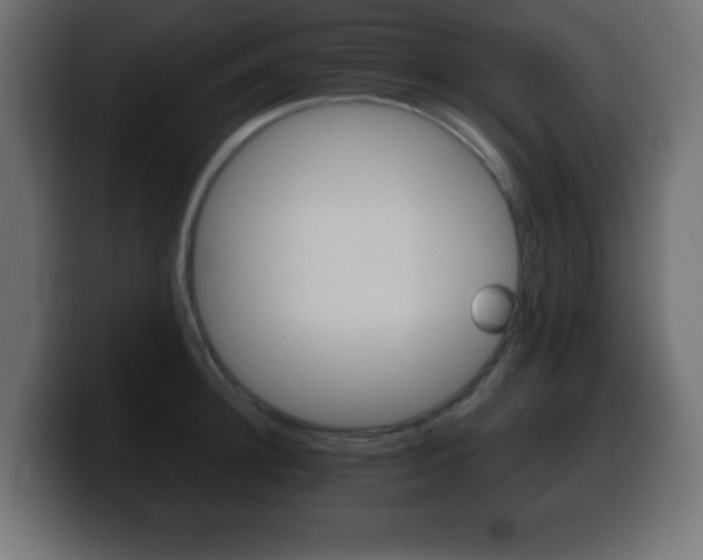 X0000100390948200806060831