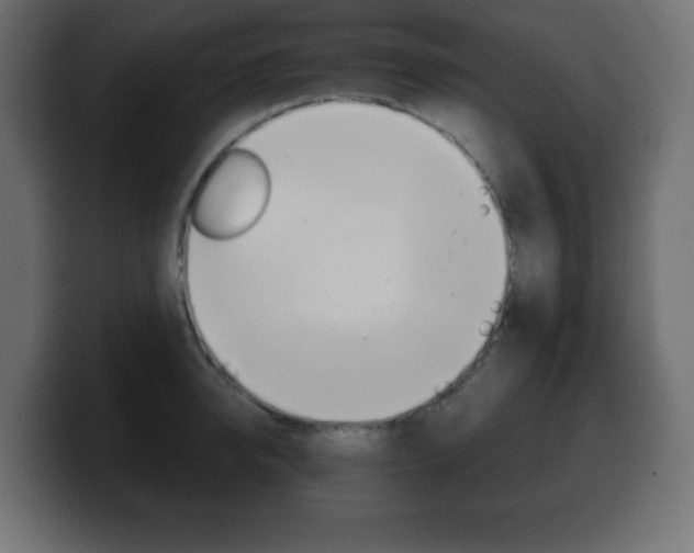 X0000100390950200806060831