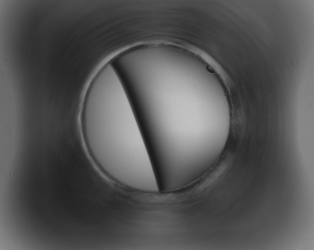 X0000100390951200806060831