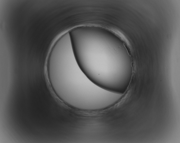 X0000100390952200806060831