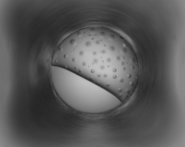 X0000100390953200806060831