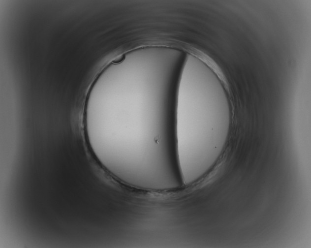 X0000100390954200806060831