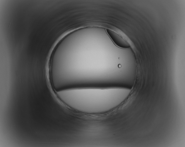 X0000100390955200806060831