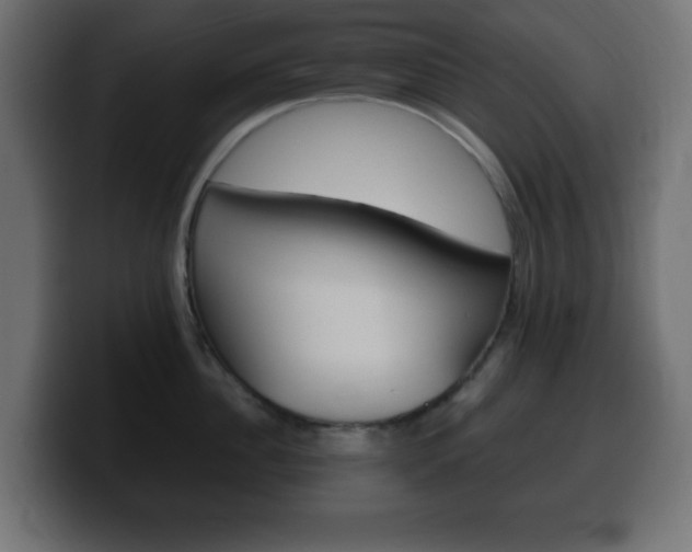 X0000100390956200806060831