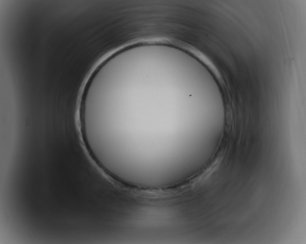 X0000100390959200806060831
