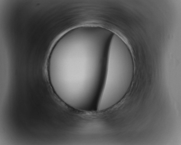 X0000100390960200806060831