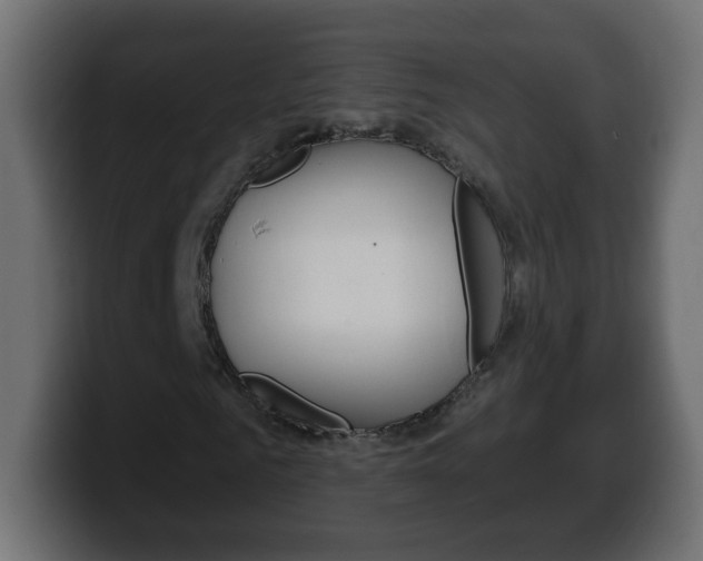 X0000100390961200806060830