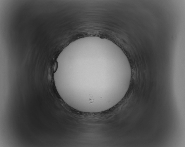 X0000100390962200806060830