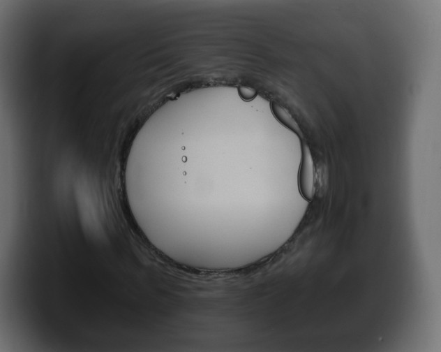 X0000100390963200806060830