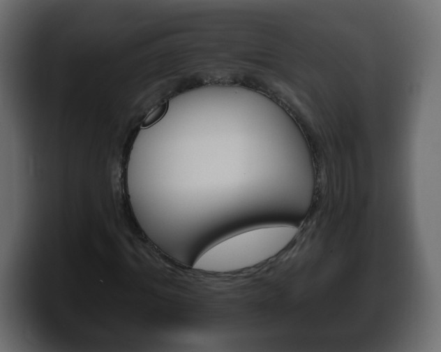 X0000100390964200806060830