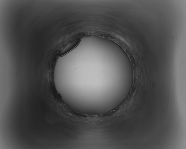 X0000100390965200806060830