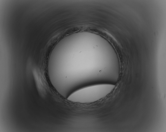 X0000100390967200806060830