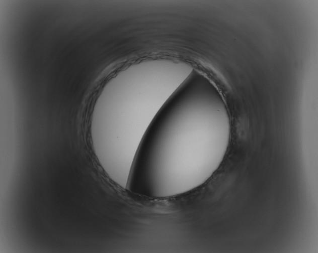 X0000100390968200806060830