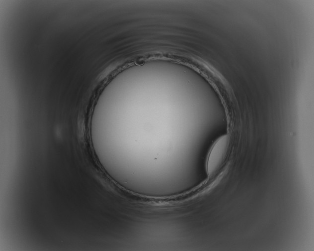 X0000100390969200806060830