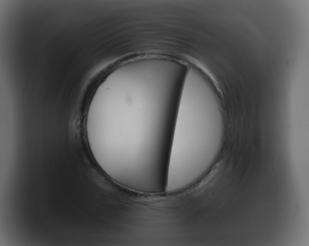 X0000100390971200806060830