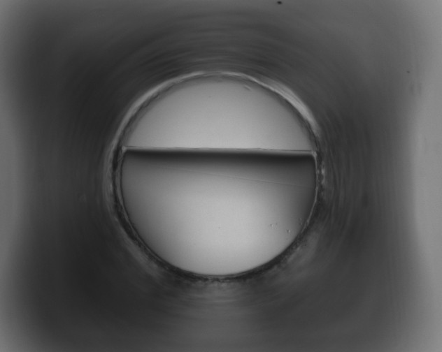 X0000100390972200806060830