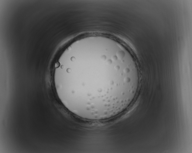 X0000100390974200806060830