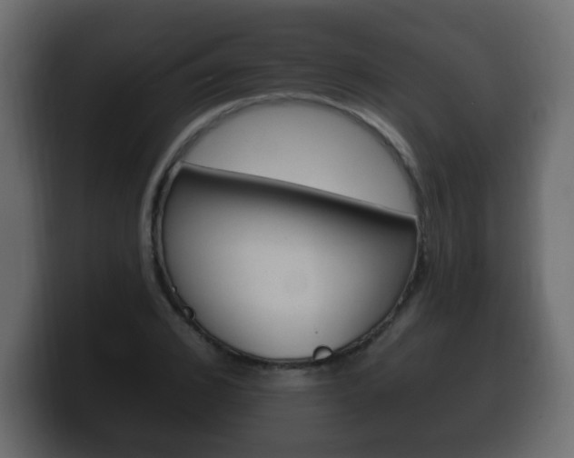 X0000100390976200806060830