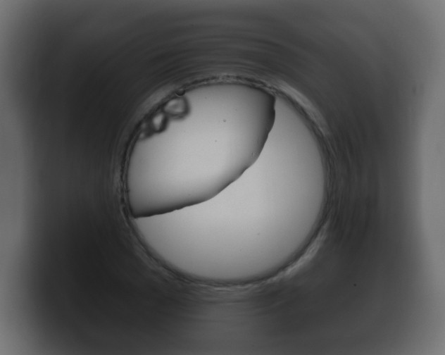 X0000100390977200806060830