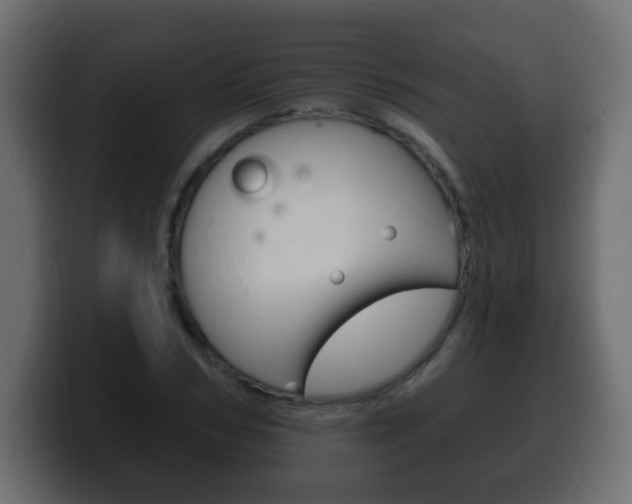 X0000100390978200806060830