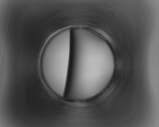 X0000100390980200806060830
