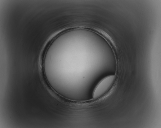 X0000100390981200806060830