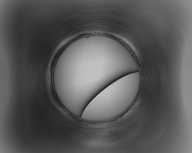 X0000100390982200806060830