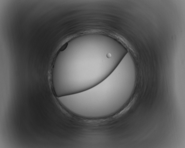 X0000100390985200806060830