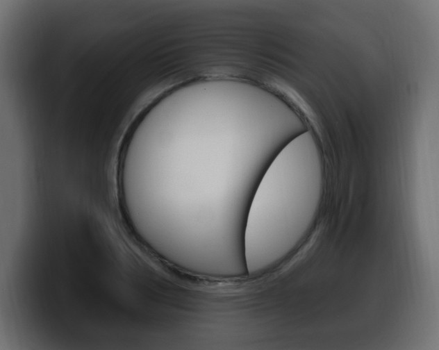 X0000100390986200806060830