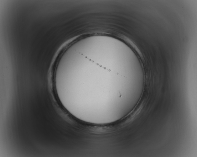X0000100390987200806060830