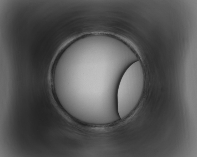 X0000100390990200806060830