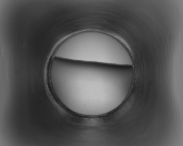 X0000100390991200806060830