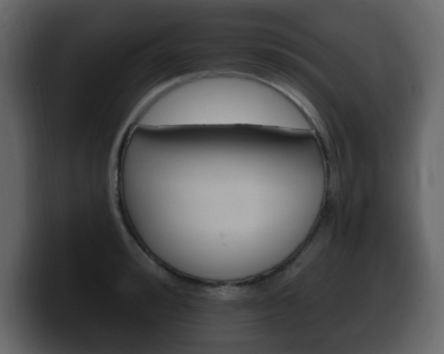 X0000100390992200806060830
