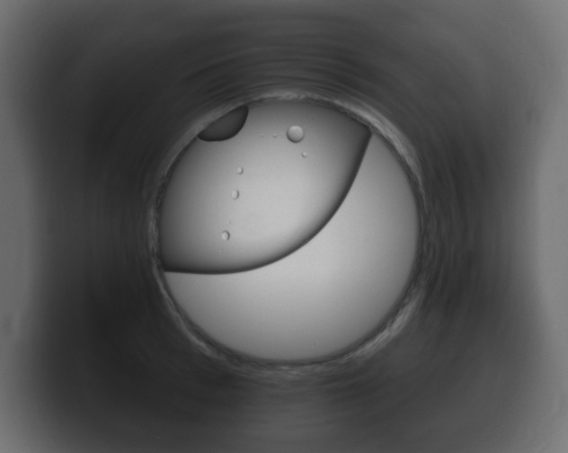 X0000100390993200806060830