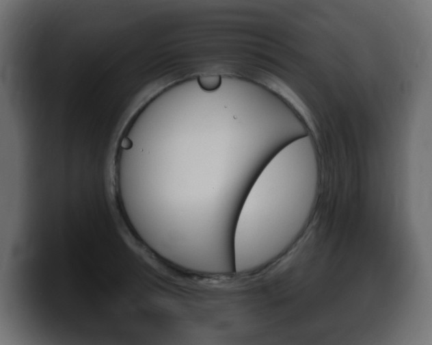 X0000100390994200806060830