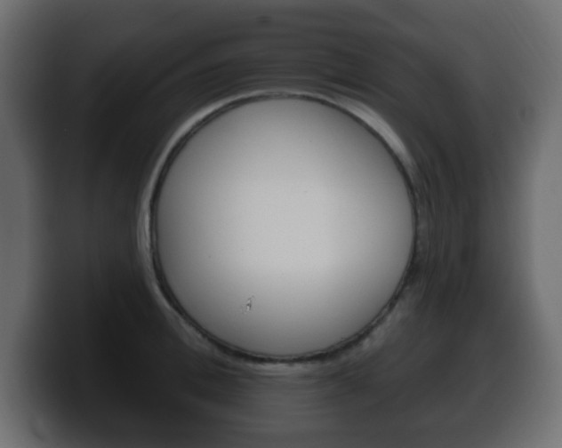 X0000100390996200806060830