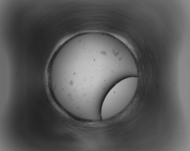 X0000100390998200806060830