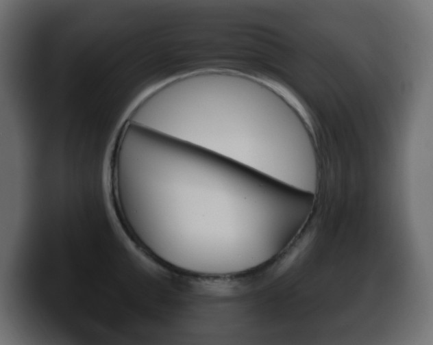 X0000100390999200806060830