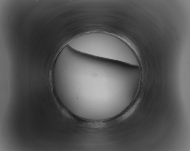 X0000100391001200806060830