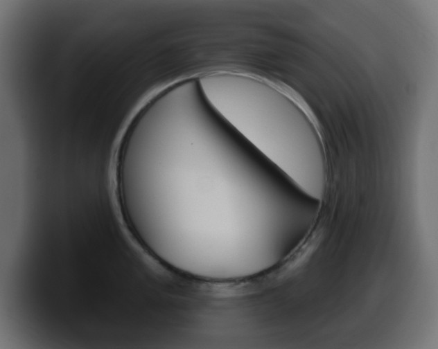 X0000100391005200806060830